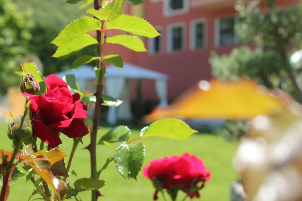 Filippone Hotel&Ristorante Gioia dei Marsi Kültér fotó