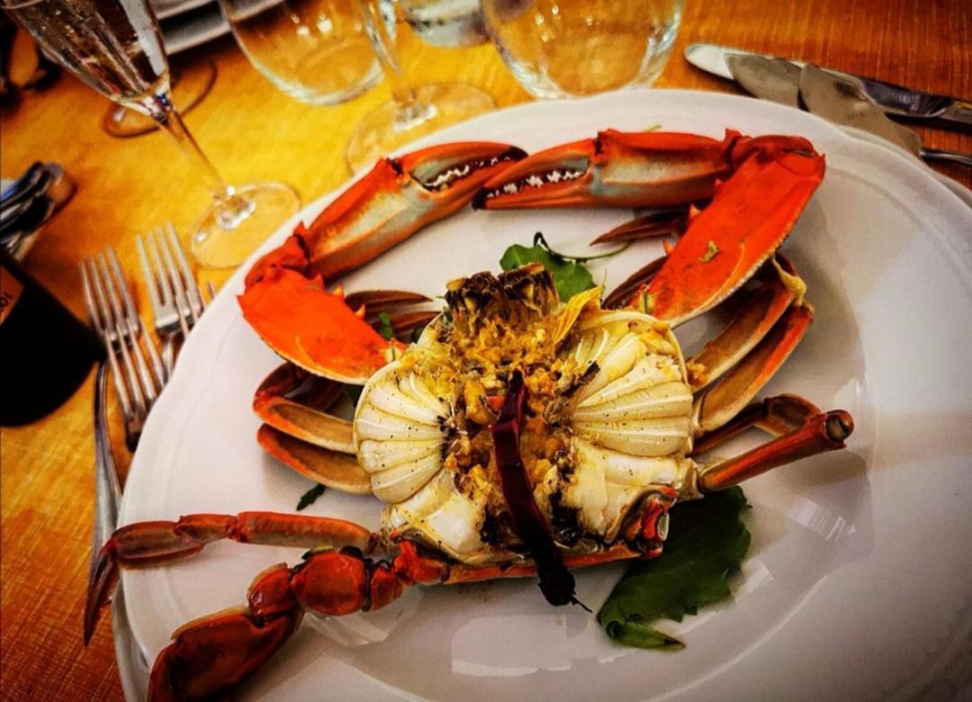 Filippone Hotel&Ristorante Gioia dei Marsi Kültér fotó